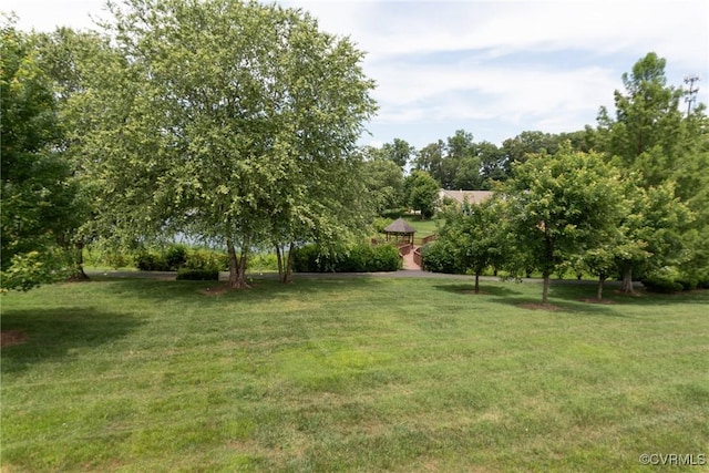 7314 Norwood Pond Pl, Chesterfield, VA 23112 - view of grassy yard