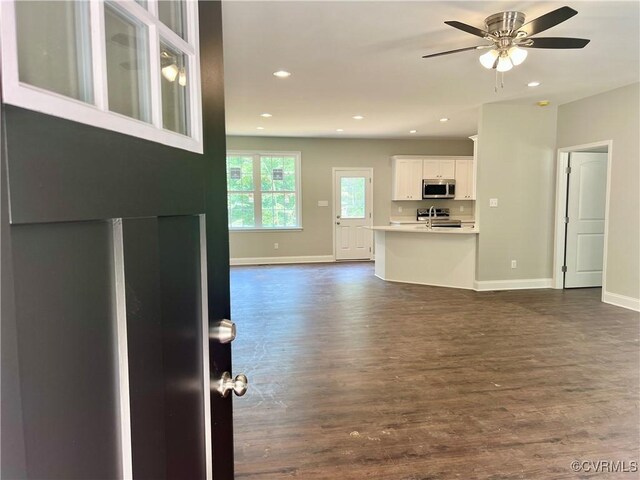 10251 Epps Ln, Amelia Courthouse, VA 23002 - kitchen with appliances with stainless steel finishes, baseboards, dark wood-style flooring, and recessed lighting