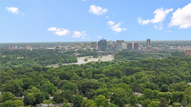 1004 W 45th St, Richmond, VA 23225 - view of urban area featuring a heavily wooded area