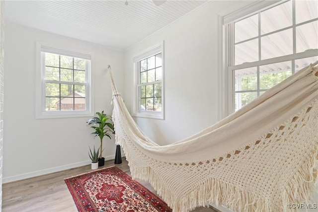 6405 Hagueman Dr, Richmond, VA 23225 - detailed view of ornamental molding, wood finished floors, and baseboards