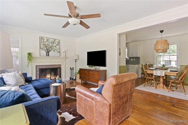6405 Hagueman Dr, Richmond, VA 23225 - living room with wood finished floors, a ceiling fan, a fireplace, plenty of natural light, and ornamental molding