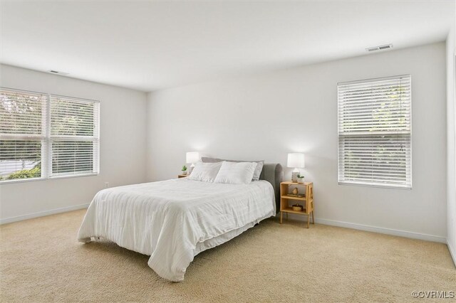 201 Rembold Way, Jamestown, VA 23185 - photo 23