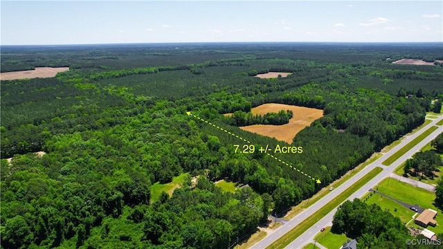 N/A Blue Star Hwy, Jarratt, VA 23867