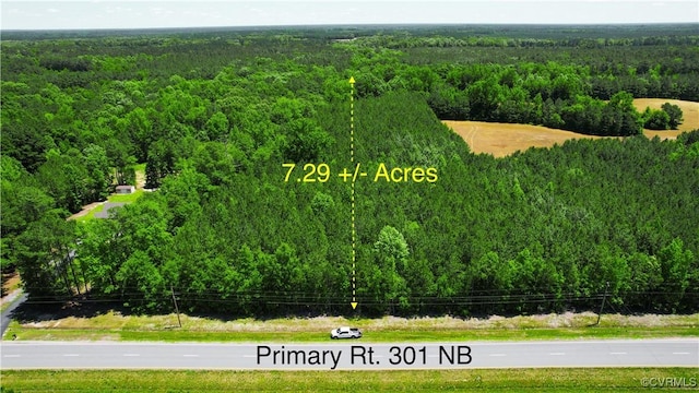 N/A Blue Star Hwy, Jarratt, VA 23867