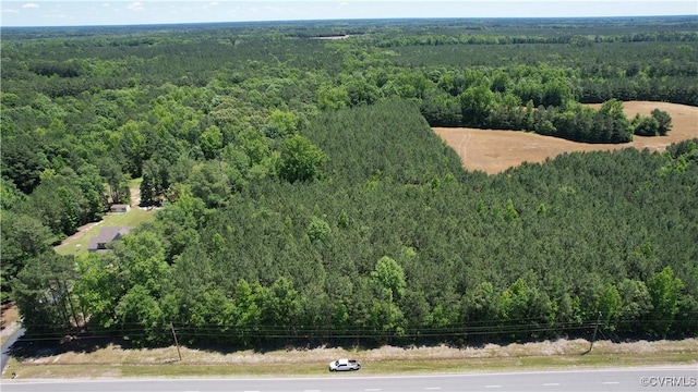 N/A Blue Star Hwy, Jarratt, VA 23867