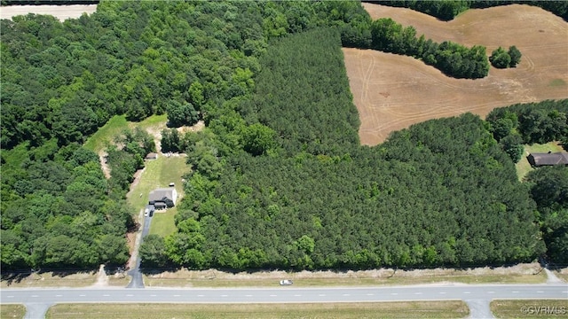 N/A Blue Star Hwy, Jarratt, VA 23867