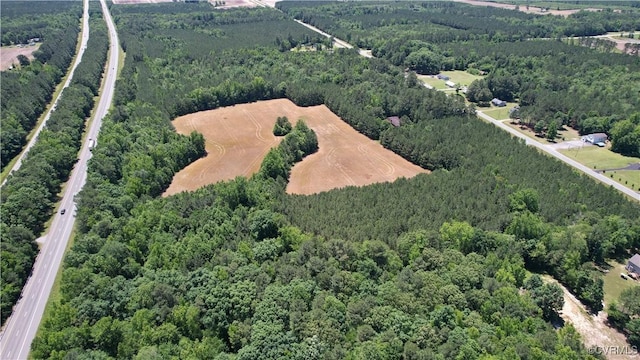 N/A Blue Star Hwy, Jarratt, VA 23867