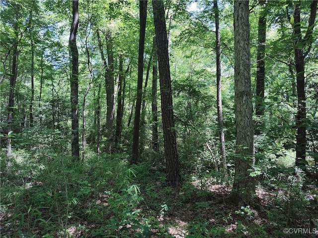 N/A Blue Star Hwy, Jarratt, VA 23867