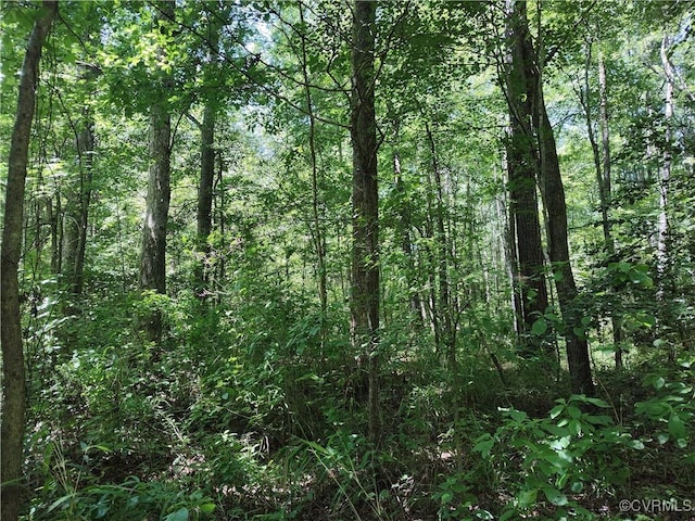 N/A Blue Star Hwy, Jarratt, VA 23867