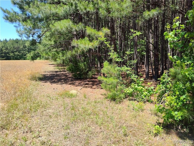 N/A Blue Star Hwy, Jarratt, VA 23867