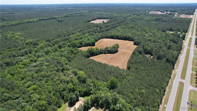 N/A Blue Star Hwy, Jarratt, VA 23867