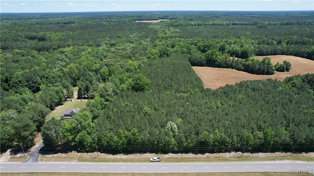 N/A Blue Star Hwy, Jarratt, VA 23867