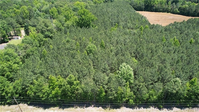 N/A Blue Star Hwy, Jarratt, VA 23867