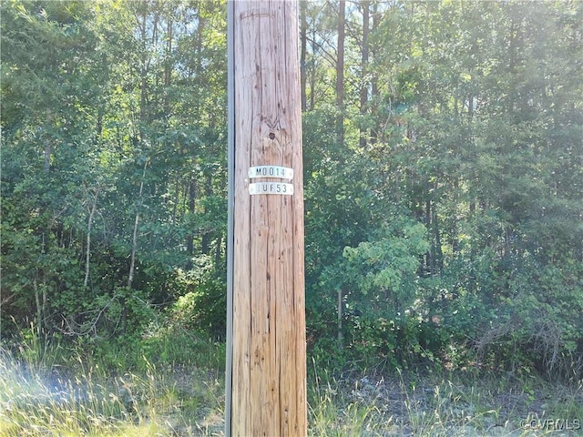 N/A Blue Star Hwy, Jarratt, VA 23867