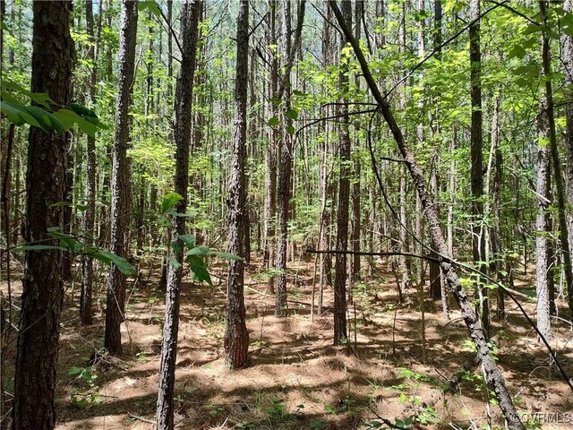 N/A Blue Star Hwy, Jarratt, VA 23867
