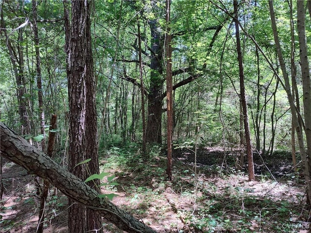 N/A Blue Star Hwy, Jarratt, VA 23867