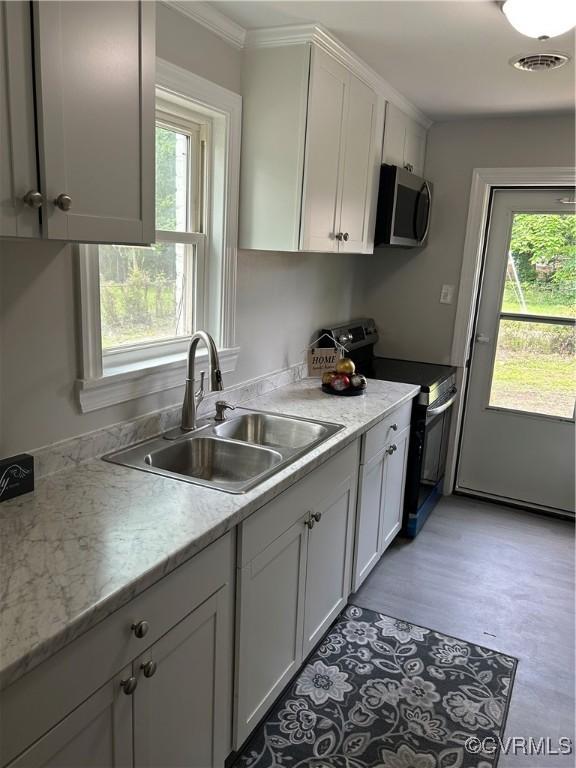 kitchen with stainless steel appliances, a sink, plenty of natural light, white cabinetry, and ornamental molding