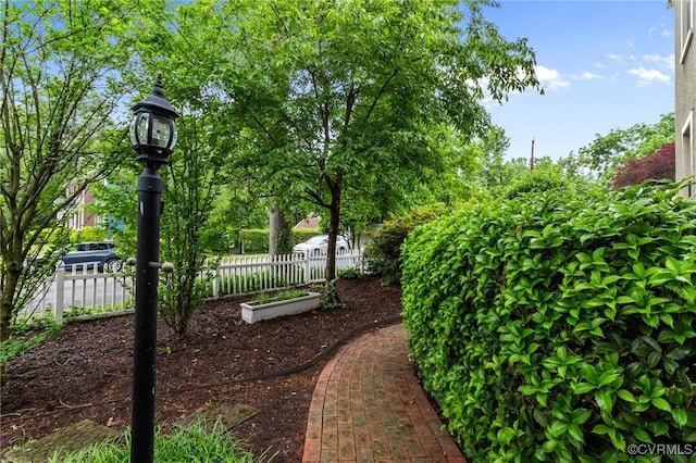 1520 Bellevue Ave, Richmond, VA 23227 - view of yard