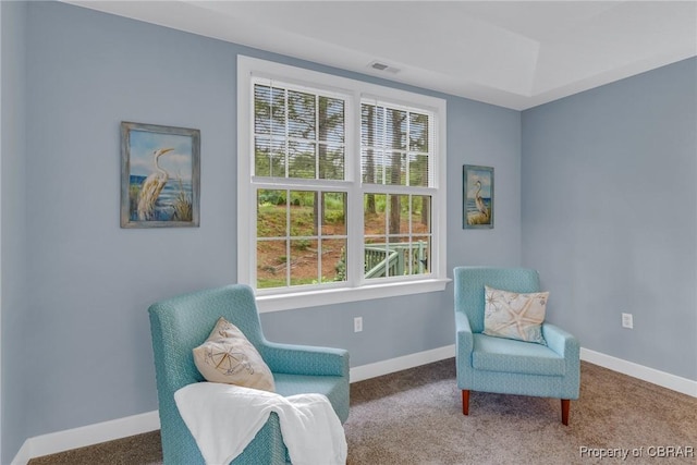 118 Old Field Rd, Irvington, VA 22480 - living area featuring plenty of natural light, carpet, and baseboards