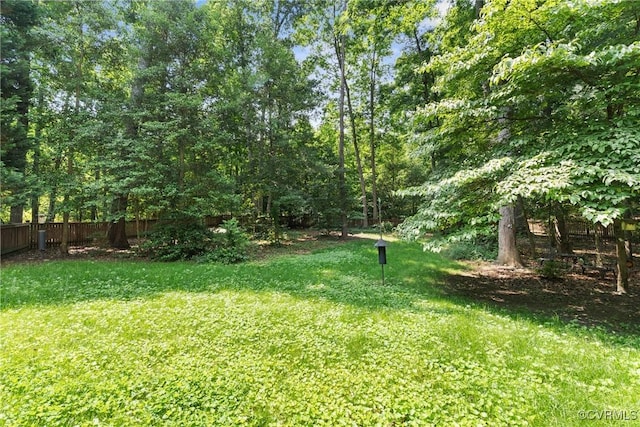 11830 Cedar Landing Ter, Chesterfield, VA 23831 - view of yard