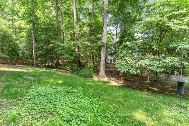 11830 Cedar Landing Ter, Chesterfield, VA 23831 - view of yard
