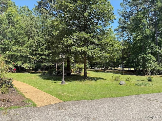 11906 Carters Garden Ter, Chesterfield, VA 23838 - photo 31