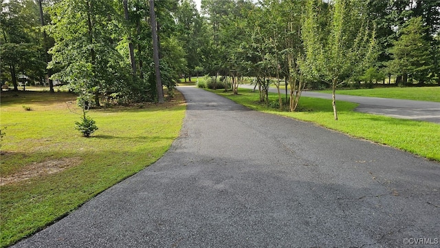 11906 Carters Garden Ter, Chesterfield, VA 23838 - photo 37