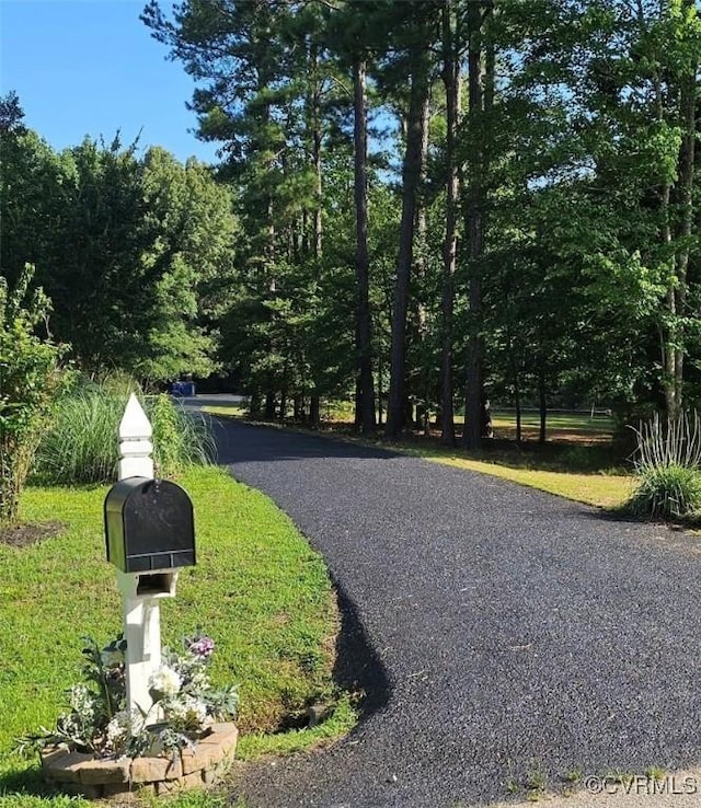 11906 Carters Garden Ter, Chesterfield, VA 23838 - photo 38