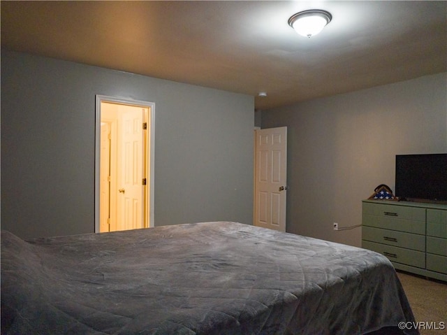 3539 Spring Meadow Pl, Prince George, VA 23860 - view of carpeted bedroom