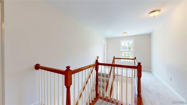 11706 Black Alder Dr, Moseley, VA 23120 - staircase with carpet and baseboards
