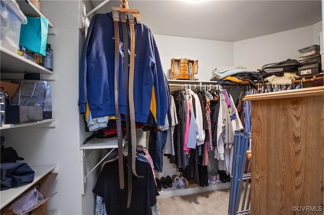 8940 Kings Charter Dr, Hanover, VA 23116 - walk in closet with carpet flooring
