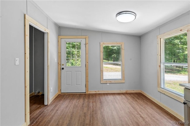 10780 Winchester Dr, Amelia Courthouse, VA 23002 - foyer with wood finished floors and healthy amount of natural light