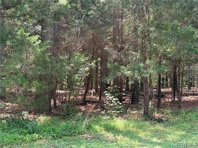 0 Georgia Ave, West Point, VA 23181 - view of woods