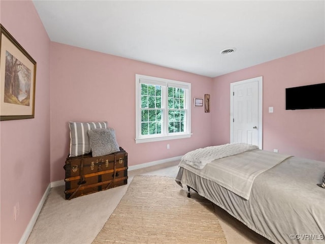 1125 Royal Ridge Rd, Chesterfield, VA 23114 - bedroom with light colored carpet and baseboards