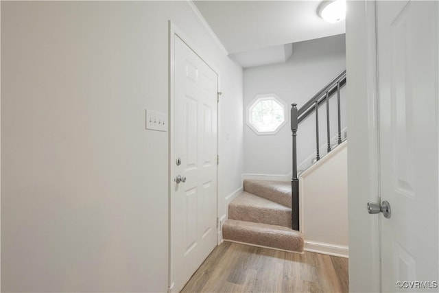 3219 Castlebury Dr, Chester, VA 23831 - photo 13