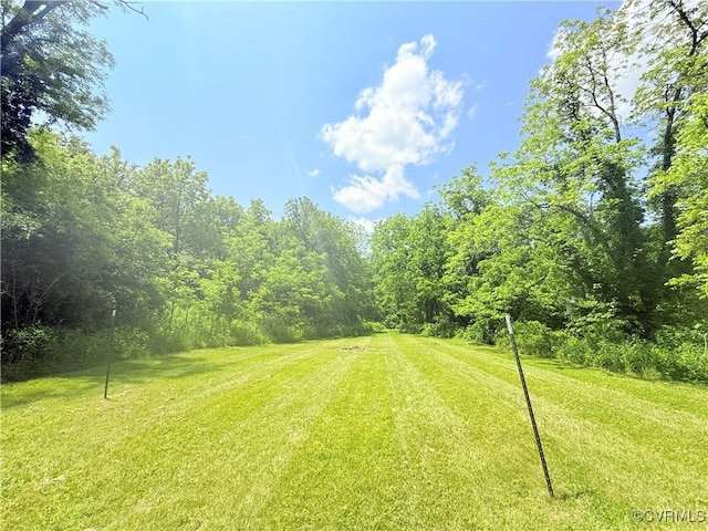 12509 Sam Snead Hwy, Warm Springs, VA 24484 - view of grassy yard featuring a wooded view