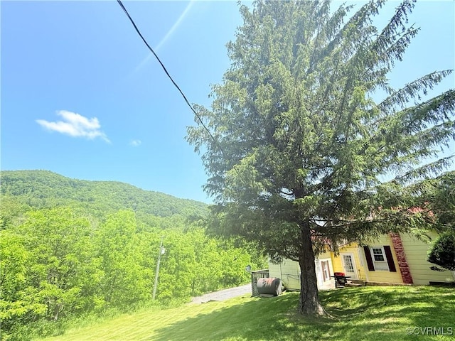 12509 Sam Snead Hwy, Warm Springs, VA 24484 - view of green lawn with a view of trees