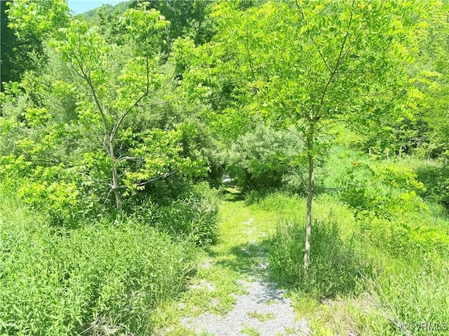 12509 Sam Snead Hwy, Warm Springs, VA 24484 - view of wooded area