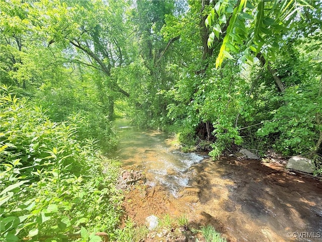 12509 Sam Snead Hwy, Warm Springs, VA 24484 - view of local wilderness