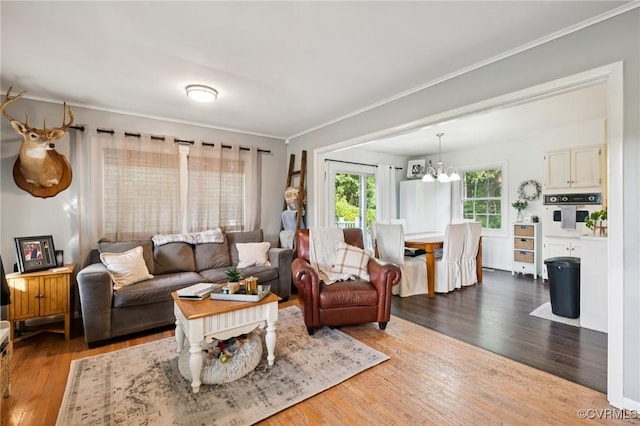 2301 White Chapel Rd, Lancaster, VA 22503 - living area with ornamental molding, wood finished floors, and a chandelier