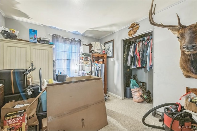 2301 White Chapel Rd, Lancaster, VA 22503 - home office featuring carpet flooring and ornamental molding