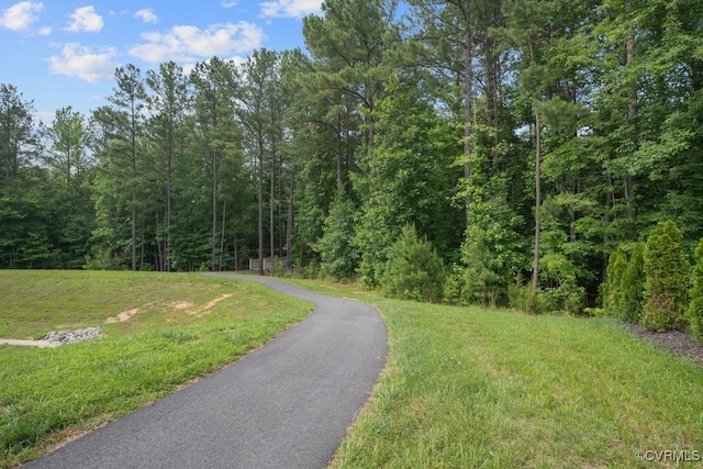 15942 Fishers Green Dr, Chesterfield, VA 23832 - view of street with a forest view