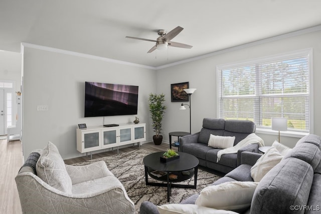 15942 Fishers Green Dr, Chesterfield, VA 23832 - living room with a ceiling fan, wood finished floors, and ornamental molding