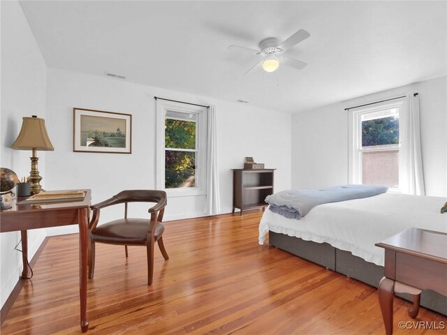 110 Gatewood Ave, Crewe, VA 23930 - bedroom with multiple windows and light wood-type flooring