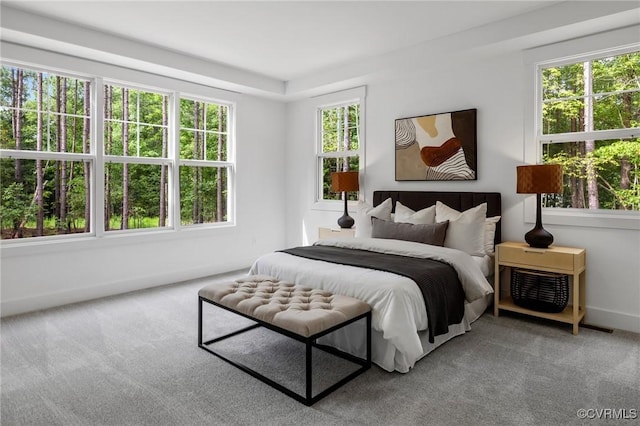 9496 Angels Share Dr, New Kent, VA 23124 - carpeted bedroom featuring baseboards