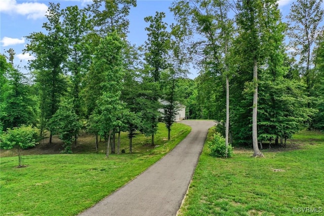 216 Edwin Cir, Aylett, VA 23009 - view of property's community featuring a lawn and a garage