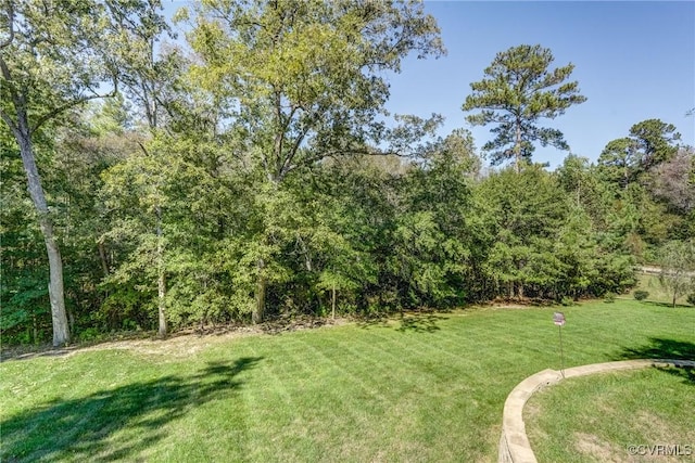 12700 Dell Hill Ct, Chester, VA 23831 - view of grassy yard