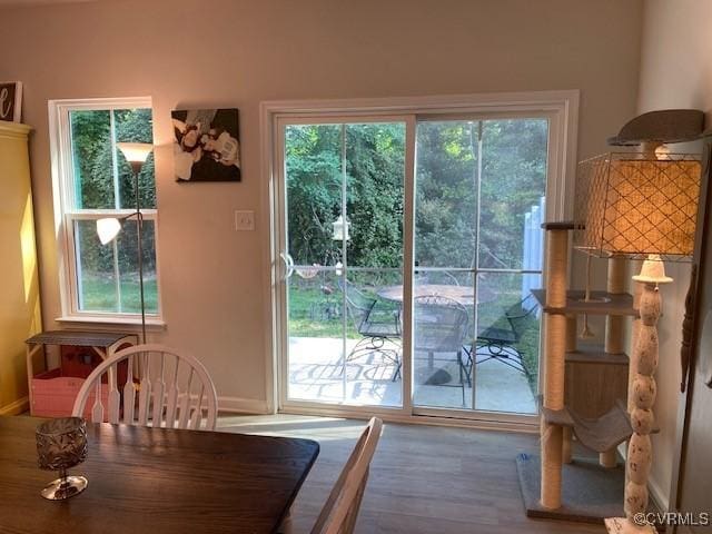 120 De La Warr Arch, Williamsburg, VA 23185 - entryway with wood finished floors and healthy amount of natural light