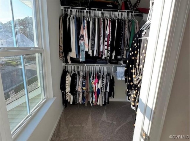 120 De La Warr Arch, Williamsburg, VA 23185 - walk in closet featuring carpet flooring