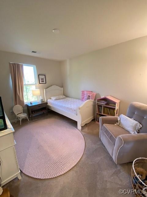 120 De La Warr Arch, Williamsburg, VA 23185 - photo 32